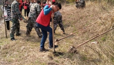 3.12植樹(shù)節(jié)，立信建設(shè)積極參加植樹(shù)綠化活動(dòng)