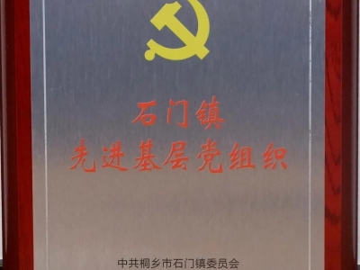 石門鎮(zhèn)先進(jìn)基層黨組織